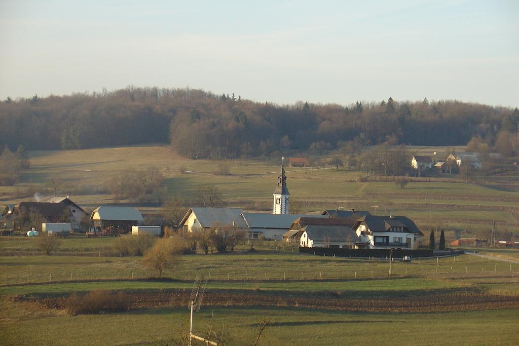 Guesthouse Novak Dvor Bagian luar foto