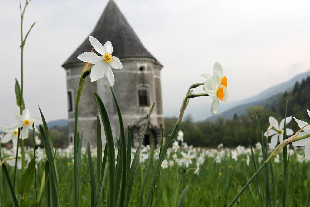 Guesthouse Novak Dvor Bagian luar foto